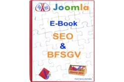 ebook-seo-bfsgv