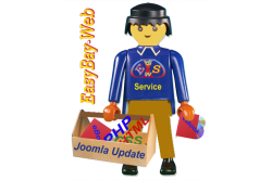 EasyBay-Web Analyse- und Updateservice