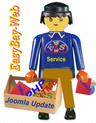 EasyBay-Web Analyse- und Updateservice